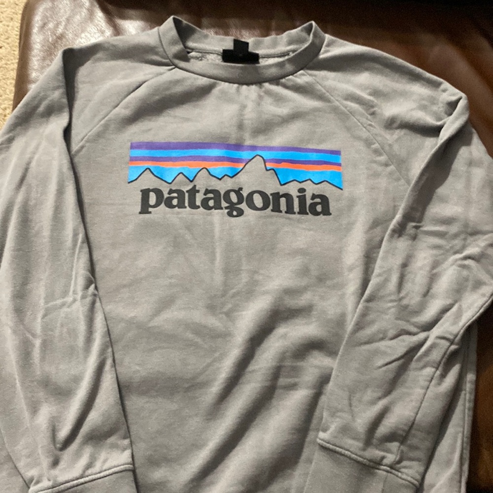 Patagonia sweatshirt